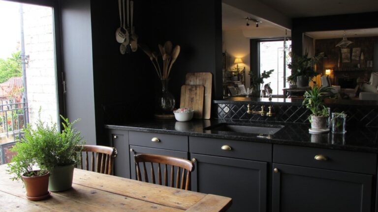 sleek and dramatic kitchen designs