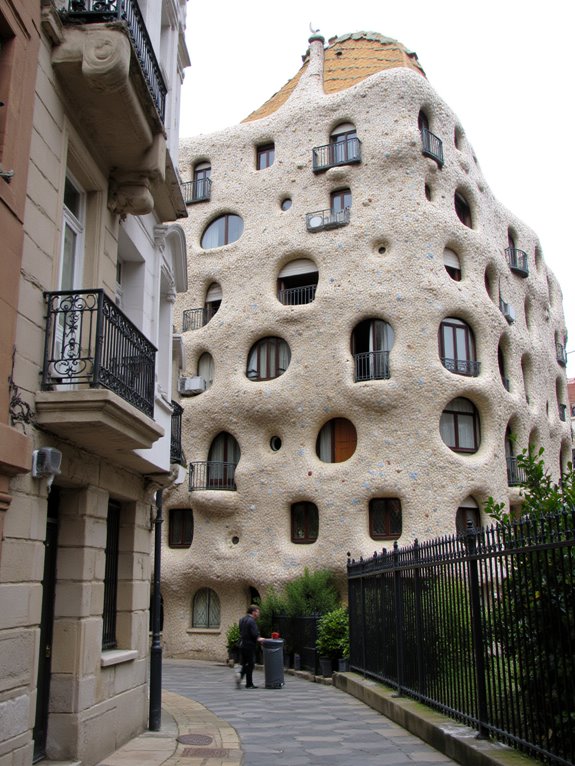 organic shapes vibrant colors