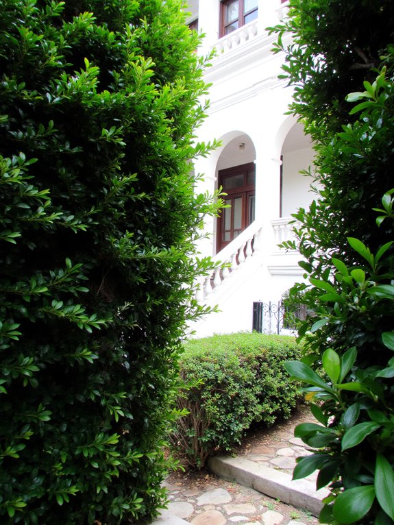 transform villa with hedges